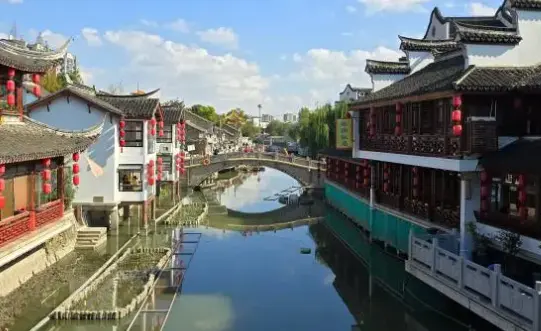 上海同城交友带毛孩子线下聚会到底有多上头？我劝你先看完再出门