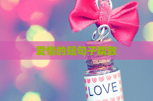 爱情的短句子精致