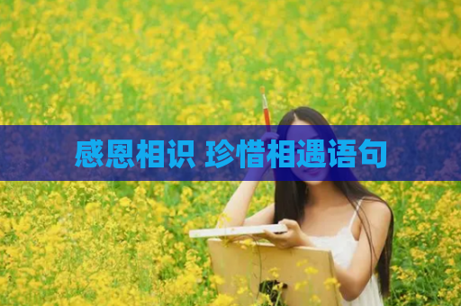 感恩相识 珍惜相遇语句