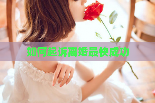 如何起诉离婚最快成功