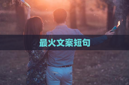 最火文案短句