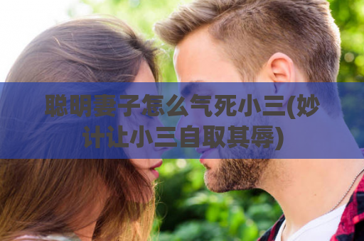 聪明妻子怎么气死小三(妙计让小三自取其辱)