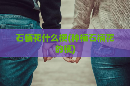 石楠花什么梗(种植石楠花的梗)