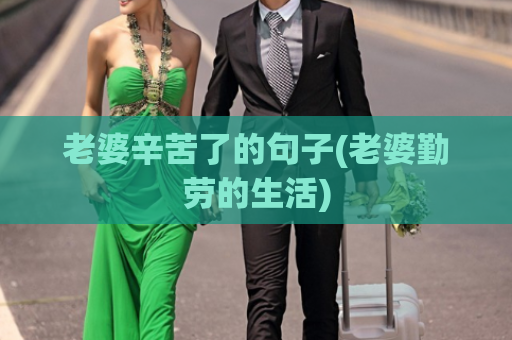 老婆辛苦了的句子(老婆勤劳的生活)