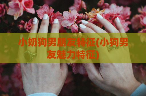 小奶狗男朋友特征(小狗男友魅力特征)