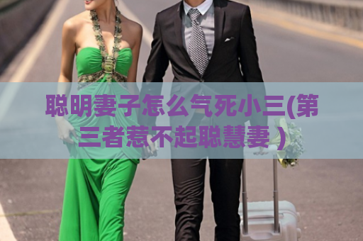 聪明妻子怎么气死小三(第三者惹不起聪慧妻 )