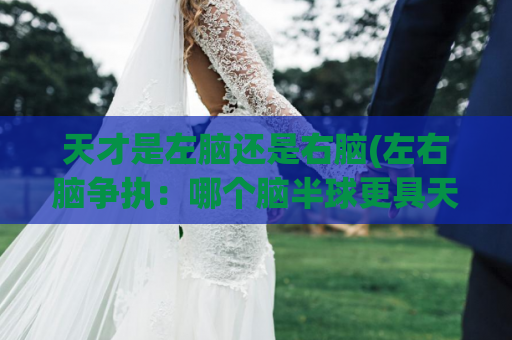 天才是左脑还是右脑(左右脑争执：哪个脑半球更具天赋？)