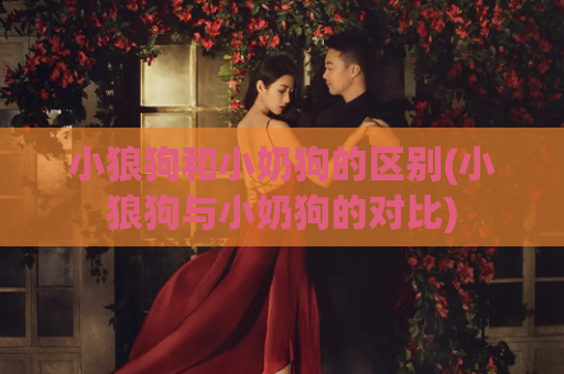 小狼狗和小奶狗的区别(小狼狗与小奶狗的对比)